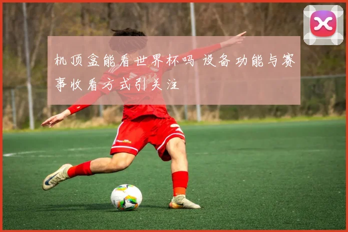 机顶盒能看世界杯吗 设备功能与赛事收看方式引关注