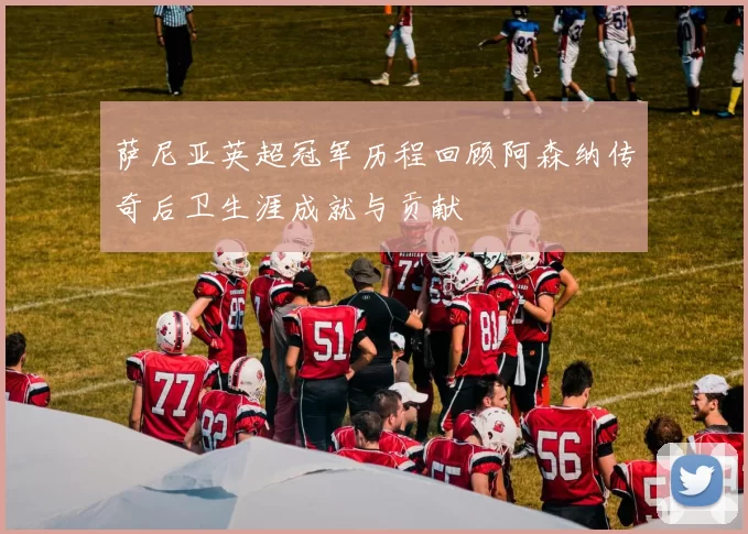 萨尼亚英超冠军历程回顾阿森纳传奇后卫生涯成就与贡献